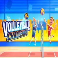 Volleyball Challenge